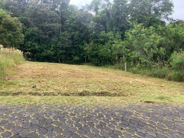 #89 - Área para Venda em Siderópolis - SC