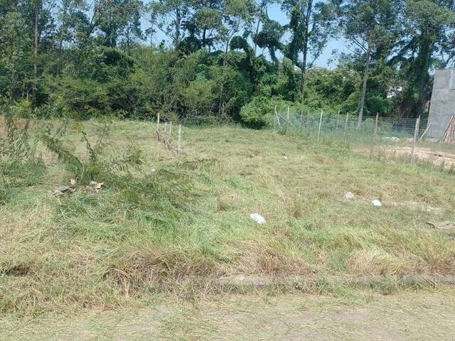 #101 - Área para Venda em Içara - SC - 1